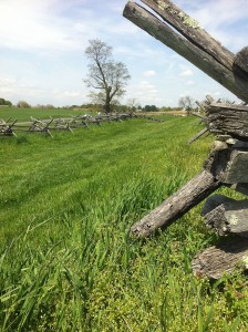 Bloody Lane, Antietam, VA