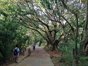 Trail in Yuanshan